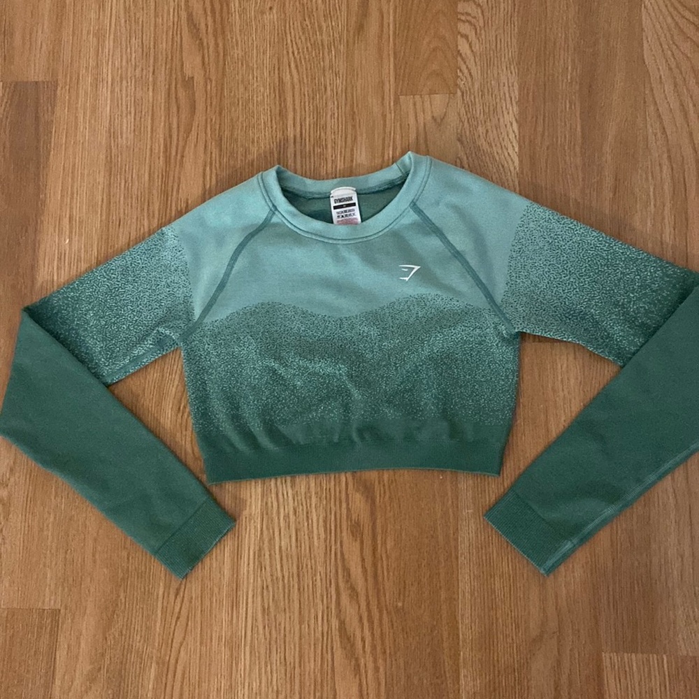 Gymshark adapt ombré cropped top